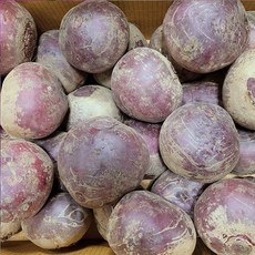 국내산 레드비트 특품, 1개, 1kg