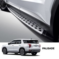 팰리세이드튜익스사이드스텝