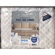 알러텍트아이스패드
