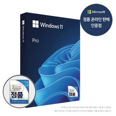 마이크로소프트 Windows 11 Pro (FPP/한글/USB)