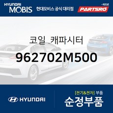 제네시스쿠페앰프배선도