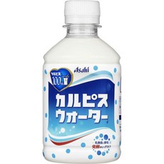 일본 아사히 칼피스 카루피스 소다 유산균 음료 280ml 24병 491422