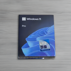 마이크로소프트 Windows 11 Pro 처음사용자용 FPP USB 공식 유통 정품 할인판매