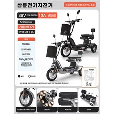 더리버 안전한 세발 전기자전거 성인 펫 2인용 배달 출퇴근 전동 삼륜 3륜 자토바이 바이크 스쿠터, 2. 리튬전지10A(주행거리30km)