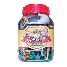 야생의세계특대