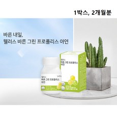  그린 프로폴리스 아연 브라질산 면역 이뮨 브라질 100% img 경질 캡슐 비 프리미엄 여성 남성 어린이 청소년 면역력 항산화 효능 추천 이산화규소 화학부형제 없는 무첨가 ncs, 1개, 60캡슐 