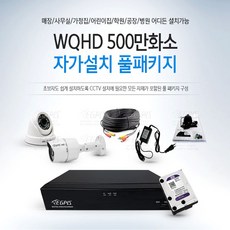 이지피스본체