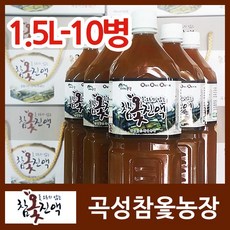 곡성래프팅