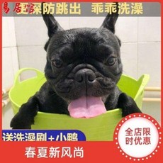 접이식 욕조 대형견 스파 목욕통 담근 개 목욕탕 약욕탕 애견 소포개 용 법두비곰, 오류 발생시 문의 ( 에이맨0708 ), 1개