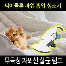제노시스비비