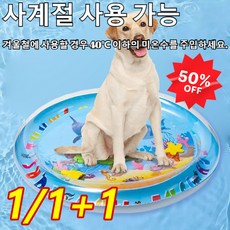 오션월드입장권 TOP01