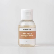 나노레시피 맥주 효모 추출물 원액, 30ml, 1개