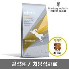 이마트시바견