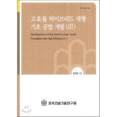 고효율 하이브리드 대형 기초 공법 개발 3, 한국건설기술연구원, 편집부 저