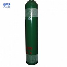 블루몬 글로벌가스텍 질소용기 40.2L 46kg 프로텍터포함 7440270 가스용기 질소통 가스통