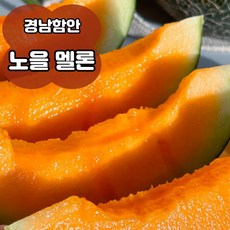 [함안] 멜론 메론 국산 경상남도 고당도 꿀 노을 메론 제철과일 멜론