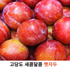 국내산 고당도 햇자두 1kg 2kg 국산 새콤달콤 자두 여름 제철과일 햇자두 출하, 1개