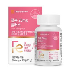 철분 비타민C 빈혈 철분제 어지럼증에 좋은 영양제 빈혈약 식물성 철분 흡수율 높은 철분제, 1박스, 90정
