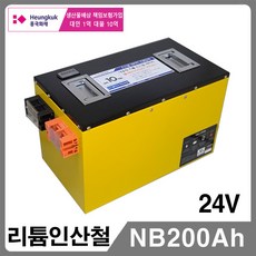 인산철파워뱅크200a