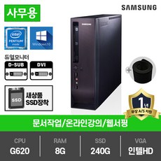 삼성전자 고급 슬림PC 인텔 2세대 펜티엄 G620 중고컴퓨터 DM300S1A, DM300S1A(인텔G620/램8G/SSD240G/인텔HD/윈10)+장패드, 삼성슬림PC