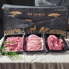 1++ 한우 선물세트 1.1kg 등심 불고기 사태, 1세트