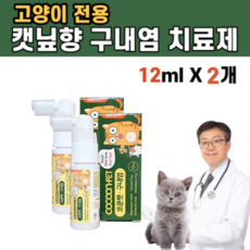 레날어드밴스드캣