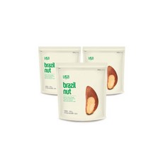너트리 브라질너트 300g 3개 완태