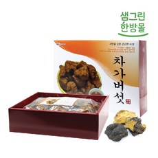 차가버섯 원물 선물세트 1kg, 1개
