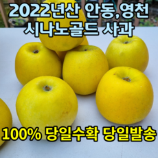 시나노스위트