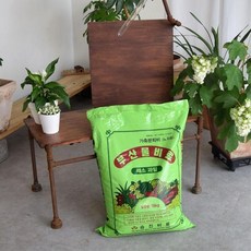 베란다화초키우기