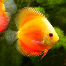 c3b6b59c84c0fc779e2f935b52fe11c24c6232d88ea1e6f9e8cdf50ab739.jpg
