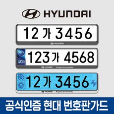 공식인증 현대자동차 번호판가드 2개입 - 천공 비천공 전기차 겸용 가드, 2.현대번호판가드 로고2개(전+후)-실버, 1세트, 1세트