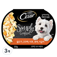 시저 심플리 크래프티드 강아지 습식사료, 닭, 37g, 3개 - 시저심플리