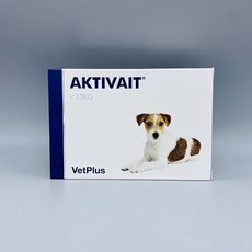 벳플러스 액티베이트 캣 60캡슐 고양이 두뇌발달 항산화 영양제, 단품