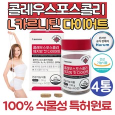 (싹쓰리맘)콜레우스포스콜리 추출물 카르니틴 다이어트/뱃살 체지방 컷 다이어트 보조제 L카르니틴 엘카르니틴, 60정, 4개, 60정