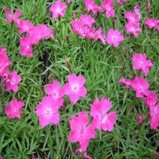 cd9811982cc49c6caffea85d2b3762cfc39dcd9f607fae466a09d3596b6c.jpg