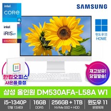 삼성 올인원PC DM530AFA-L58A W1 16GB_SSD256GB_HDD1TB_13세대 i5_윈도우11_한컴오피스증정 일체형 컴퓨터, 16GB