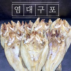 [해다운] 촉촉 부드러운 통통한 염대구포 1마리 제사용 가정용, 대(59cm~63cm), 1개