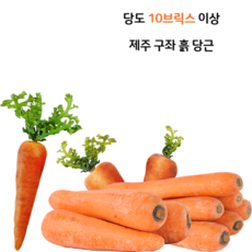[유나네 과수원] 제주도 구좌 흙 당근 왕특 리뷰후기