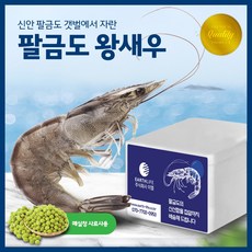 팔금도왕새우