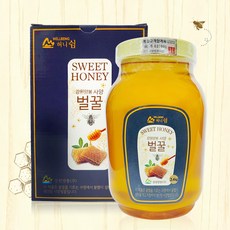 강원양봉 허니쉼 사양벌꿀 2.4kg(PET), 1박스