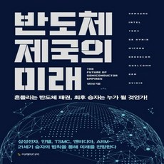 반도체제국의미래