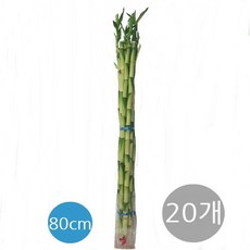 45b0c1b7f00e39ead40d23c38e283aeeae5db7d16d1a63ea04ef1a131a71.jpg