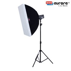 포멜카멜레스퀘어토워커