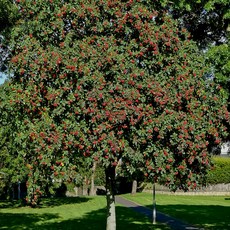 8c32bb0a349f10839054ab7db672e5188af0271a0c363404171ce5b4c433.jpg