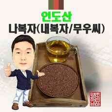 인도산 나복자(내복자/무우씨) 100g (경북 영천) 수입 수입산, 1개