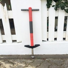 마이크로스카이콩콩
