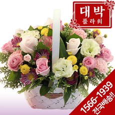 대박플라워 아기자기 꽃바구니 생일선물 기념일 출산꽃선물 병문안 꽃배달