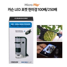 미국서부100배