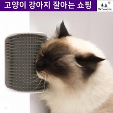 장모묘 셀프그루밍 털관리 그루머 아펜핀셔 닥스훈트 털갈이빗